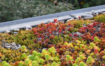 the cost of Great Claydons green roof installation