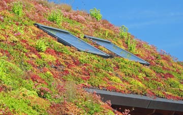 Great Claydons living roof systems